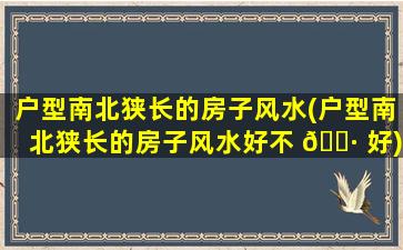 户型南北狭长的房子风水(户型南北狭长的房子风水好不 🕷 好)